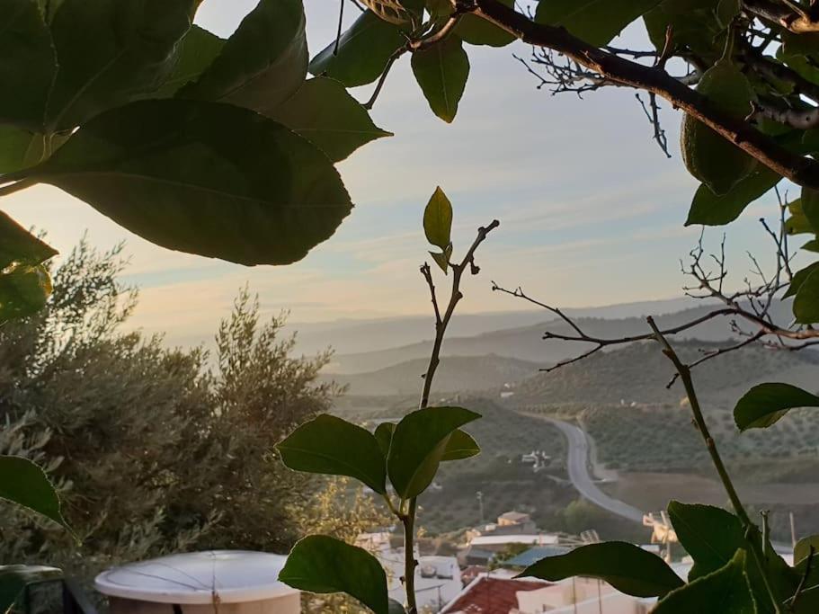 Mirador Del Olivar Ольвера Екстер'єр фото