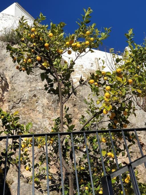 Mirador Del Olivar Ольвера Екстер'єр фото