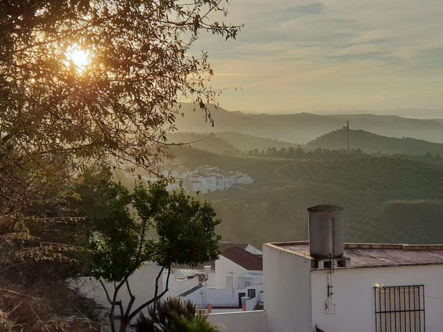 Mirador Del Olivar Ольвера Екстер'єр фото